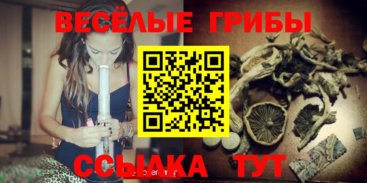 Псилоцибиновые грибы MAGIC MUSHROOMS  Псилоцибиновые грибы GOLDEN TEACHER  Вход с VPN  Элиста 