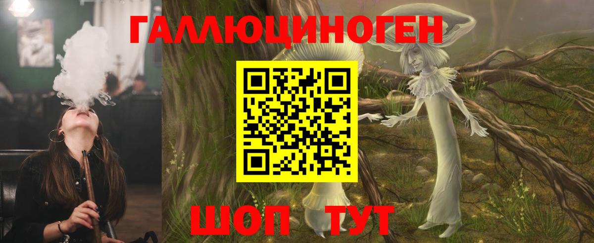 Галлюциногенные грибы Psilocybe Элиста